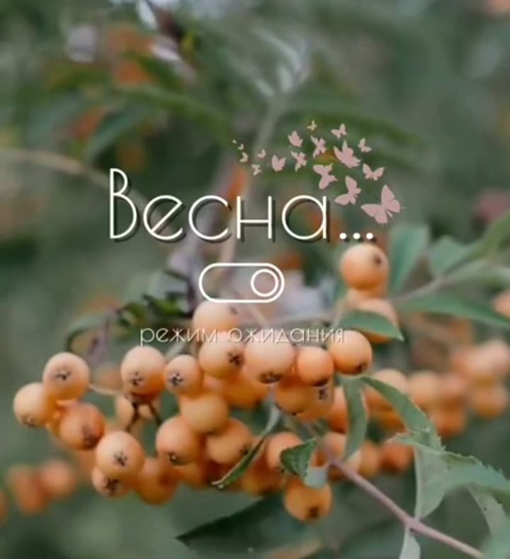 Весна... режим ожидания