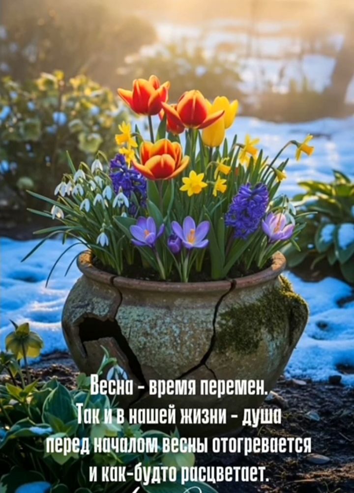 Весна - время перемен. Так и в нашей жизни - душа перед началом весны отогревается и как-будто расцветает.
