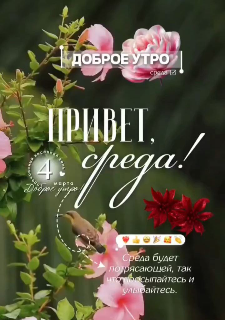 Доброе утро. Привет, среда! Среда будет по-радостной, так что просыпайтесь и улыбайтесь.