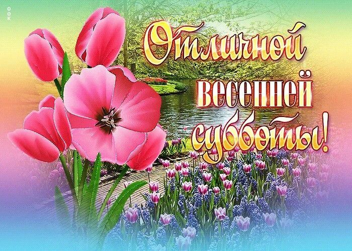 Отличной весенней субботы!