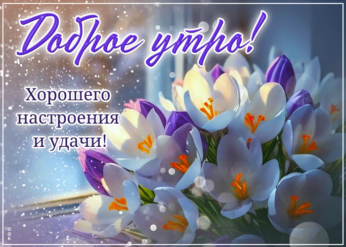 Доброе утро! Хорошего настроения и удачи!