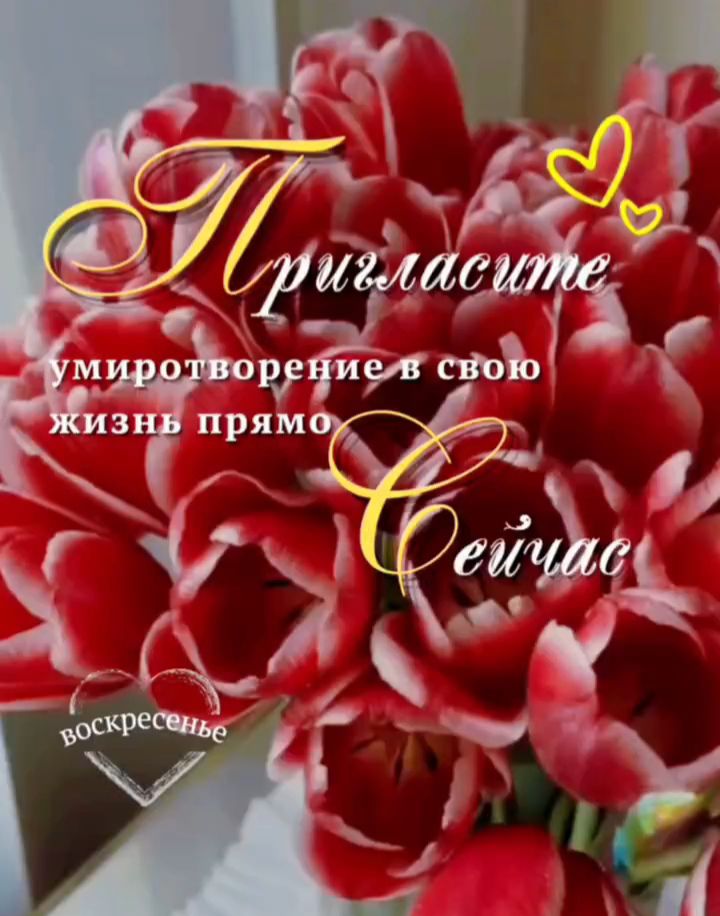 Пригласите умиротворение в свою жизнь прямо сейчас