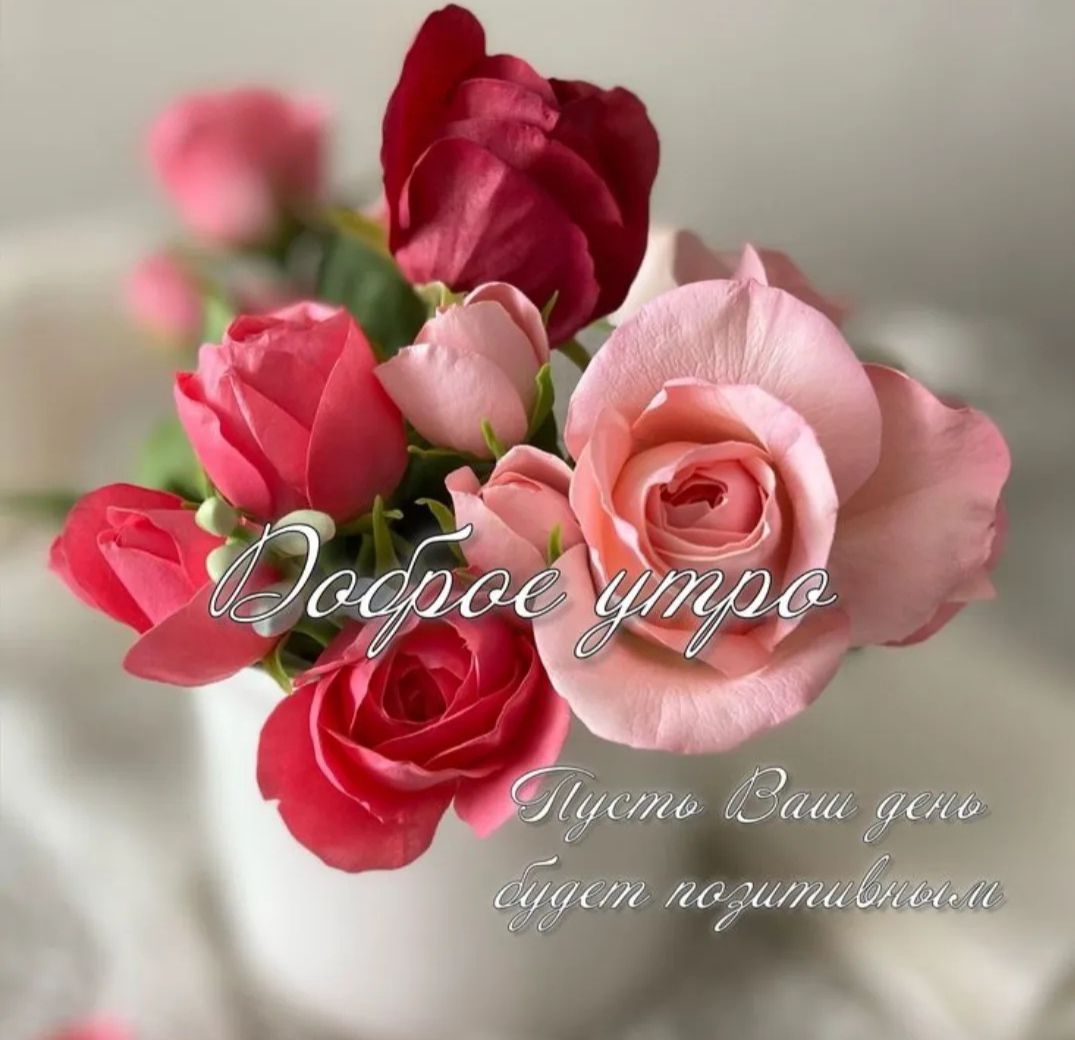 Доброе утро. Пусть Ваш день будет позитивным.