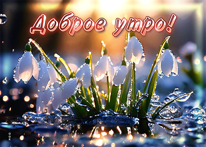 Доброе утро!