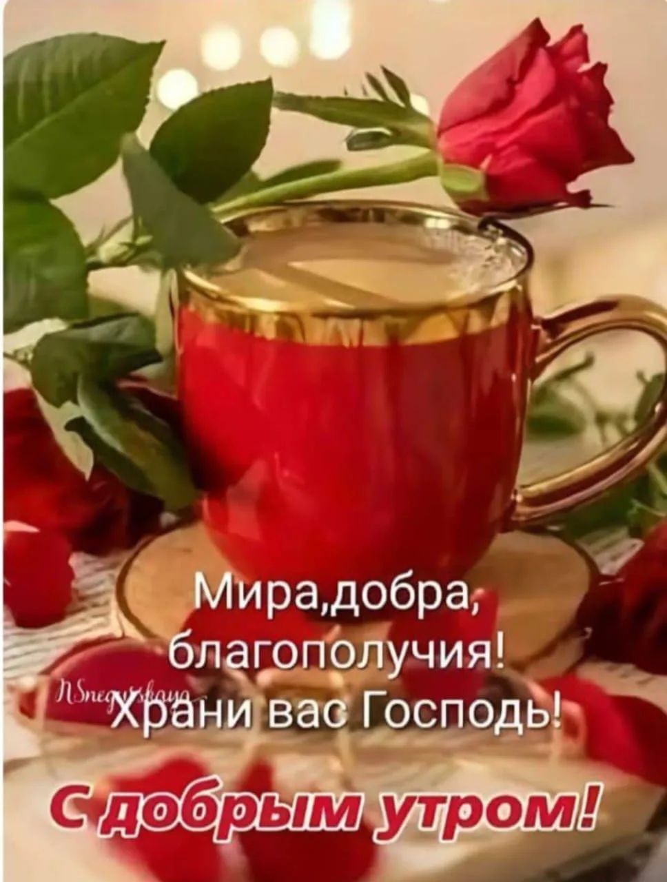Мира, добра, благополучия! Храни вас Господь! С добрым утром!