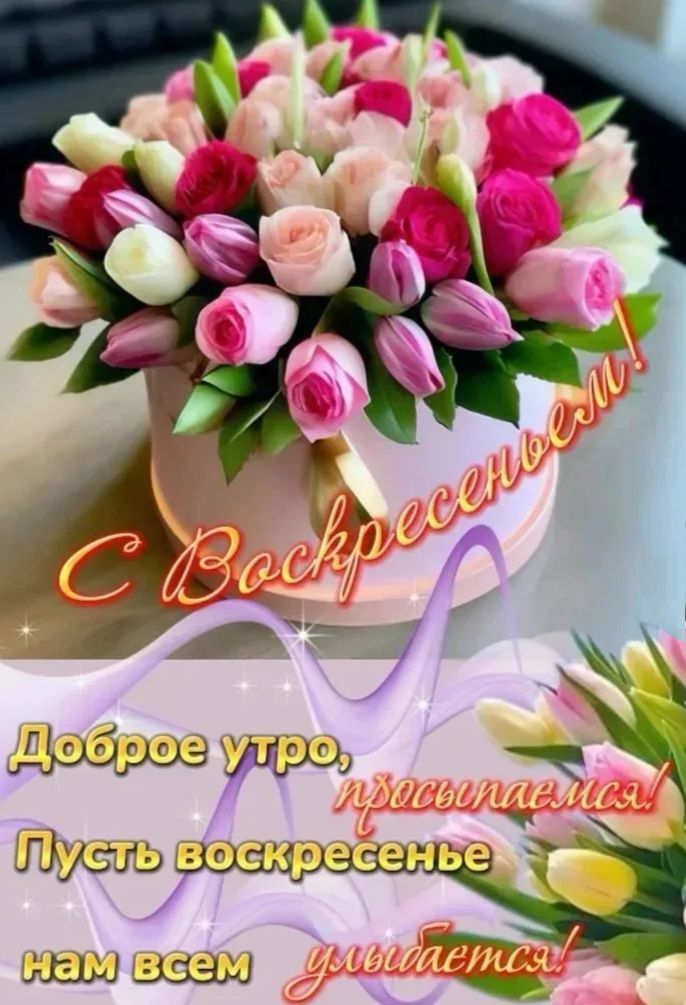 С Воскресеньем! Доброе утро, просыпаемся! Пусть воскресенье нам всем улыбается!