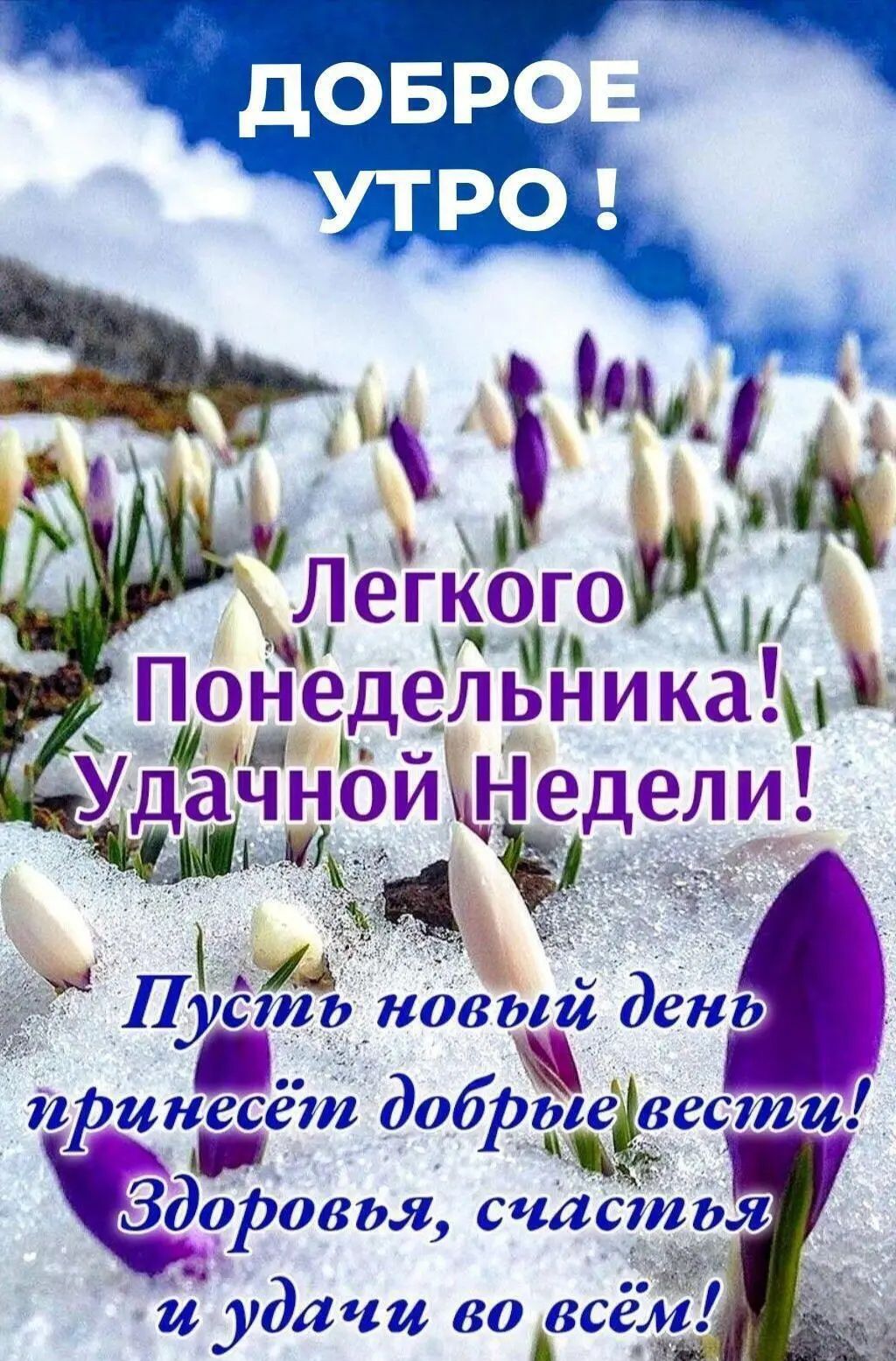 ДОБРОЕ УТРО ! Легкого Понедельника! Удачной Недели! Пусть новый день принесёт добрые вести! Здоровья, счастья и удачи во всём!