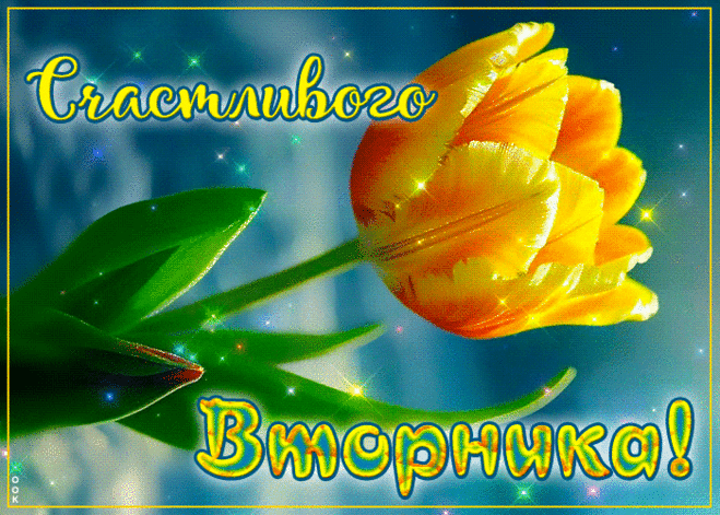 Счастливого Вторника!