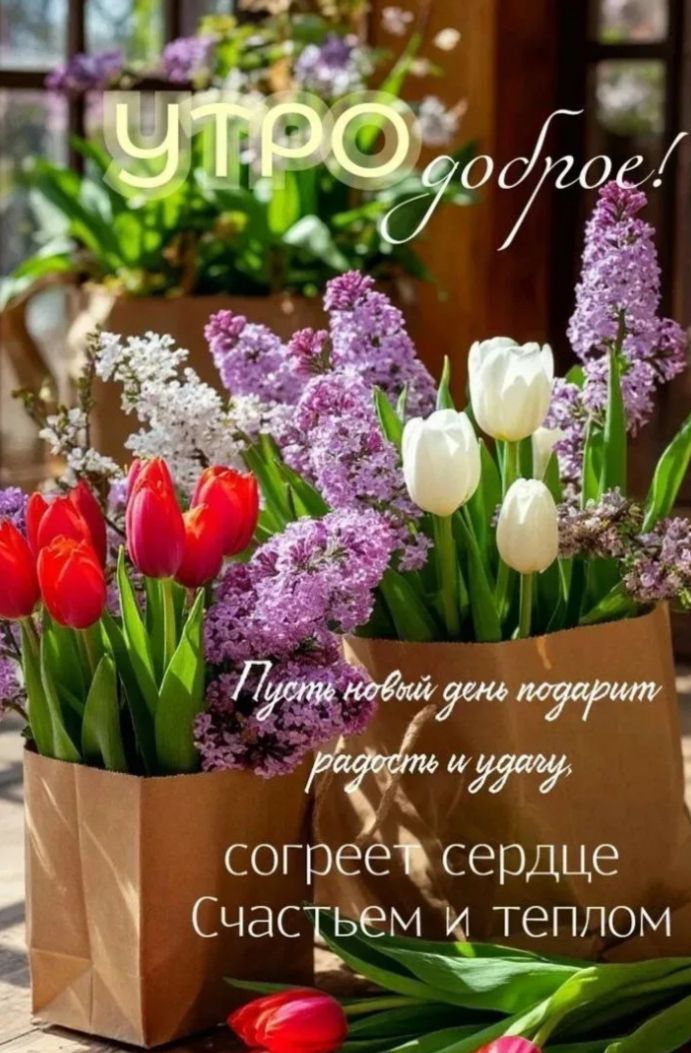 Утро доброе! Пусть новый день подарит радость и удачу, согреет сердце Счастьем и теплом