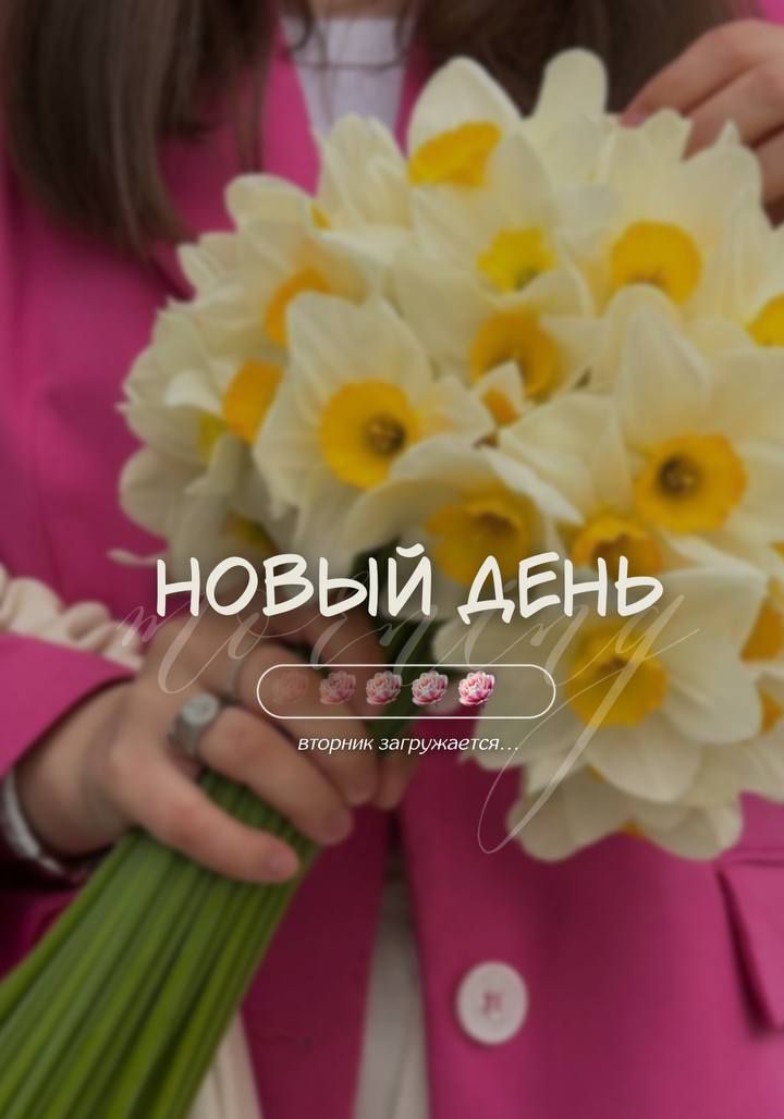 НОВЫЙ ДЕНЬ вторник загружается...