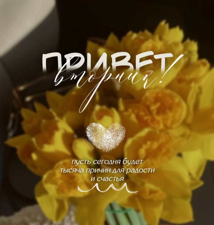 ПРИВЕТ вторник! пусть сегодня будет тысяча причин для радости и счастья