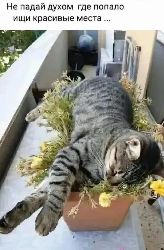 Не падай духом где попало ищи красивые места ...