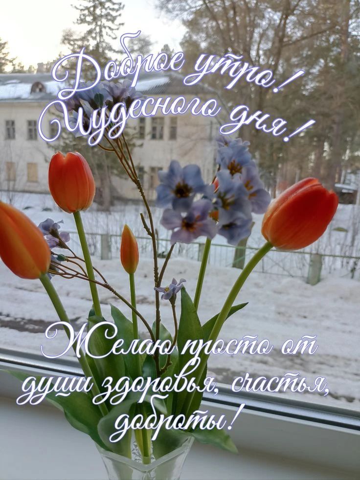 Доброе утро! Чудесного дня! Желаю просто от души здоровья, счастья, доброты!