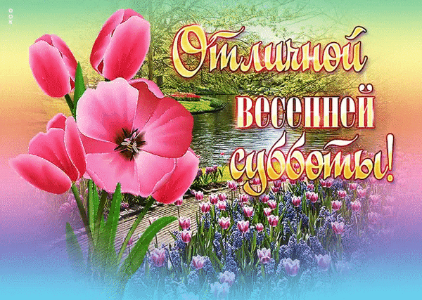 Отличной весенней субботы!
