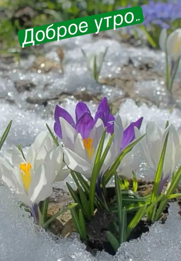 доброе утро..