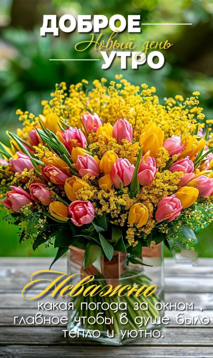 ДОБРОЕ НОВЫЙ ДЕНЬ УТРО Неважно какая погода за окном, главное чтобы в душе было тепло и уютно.