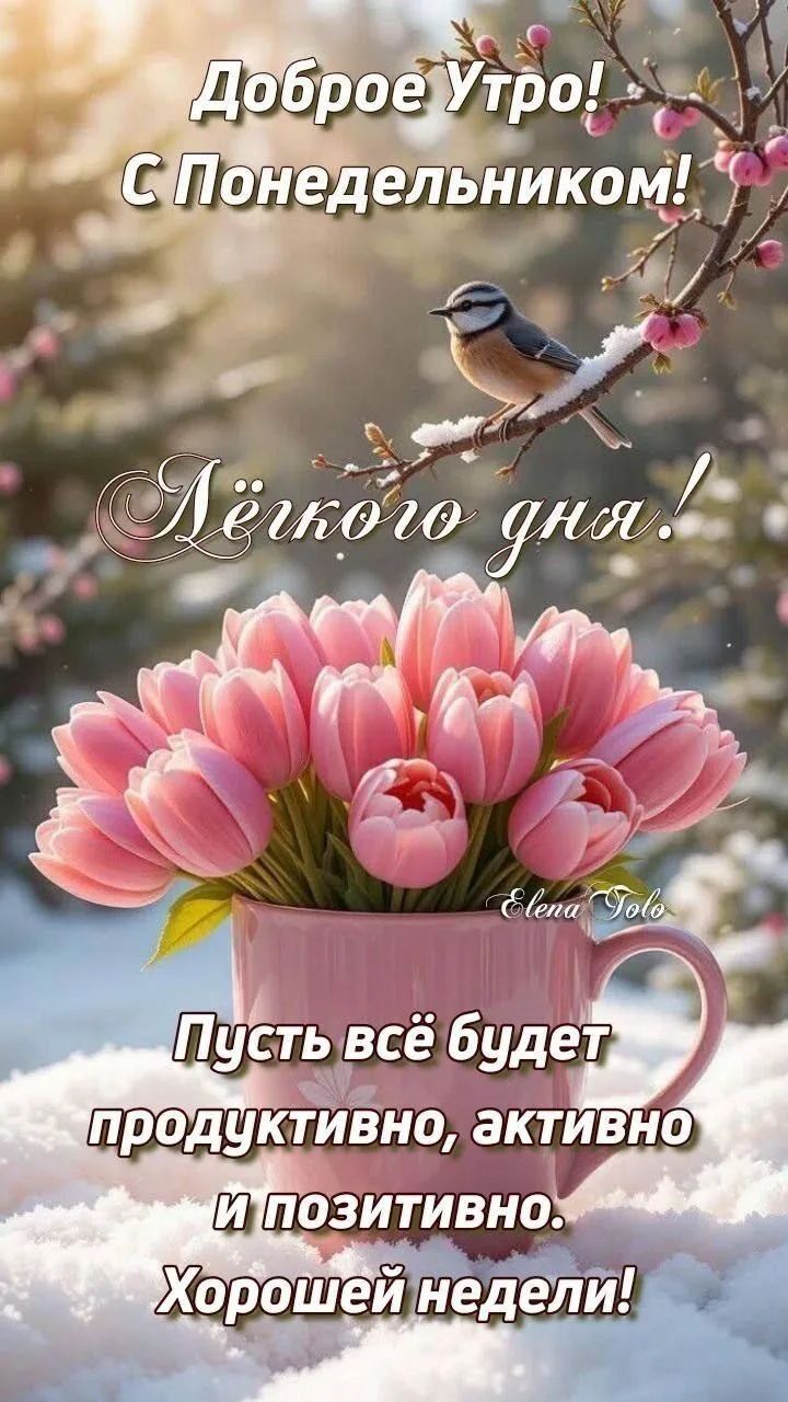 Доброе Утро! С Понедельником! Лёгкого дня! Elena Tolo Пусть всё будет продуктивно, активно и позитивно. Хорошей недели!
