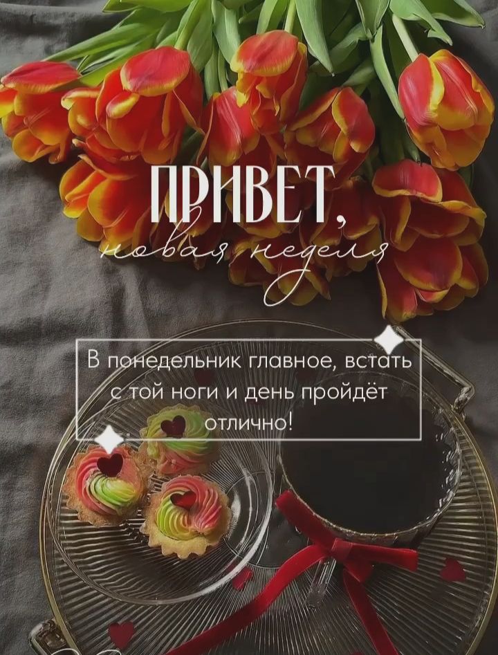 ПРИВЕТ, новая неделя В понедельник главное, встать с той ноги и день пройдет отлично!