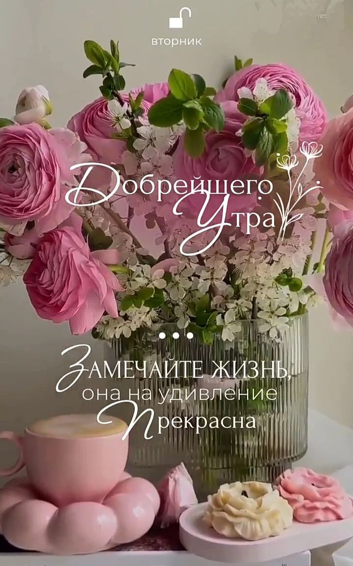 Добрейшего Утра Замечайте жизнь, она на удивление Прекрасна вторник