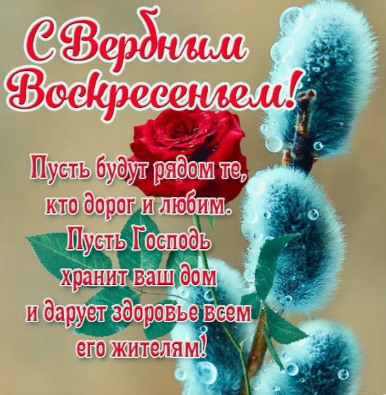 С Вербным Воскресеньем! Пусть будут рядом те, кто дорог и любим. Пусть Господь хранит ваш дом и дарует здоровье всем его жителям!