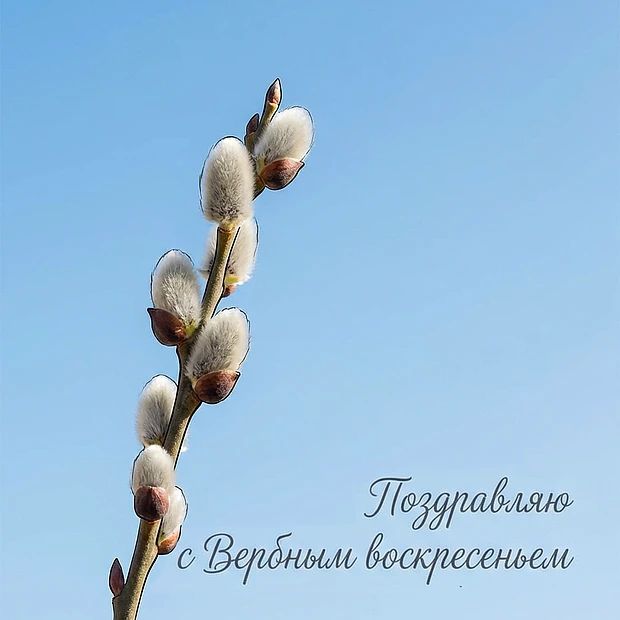 Поздравляю с Вербным воскресеньем