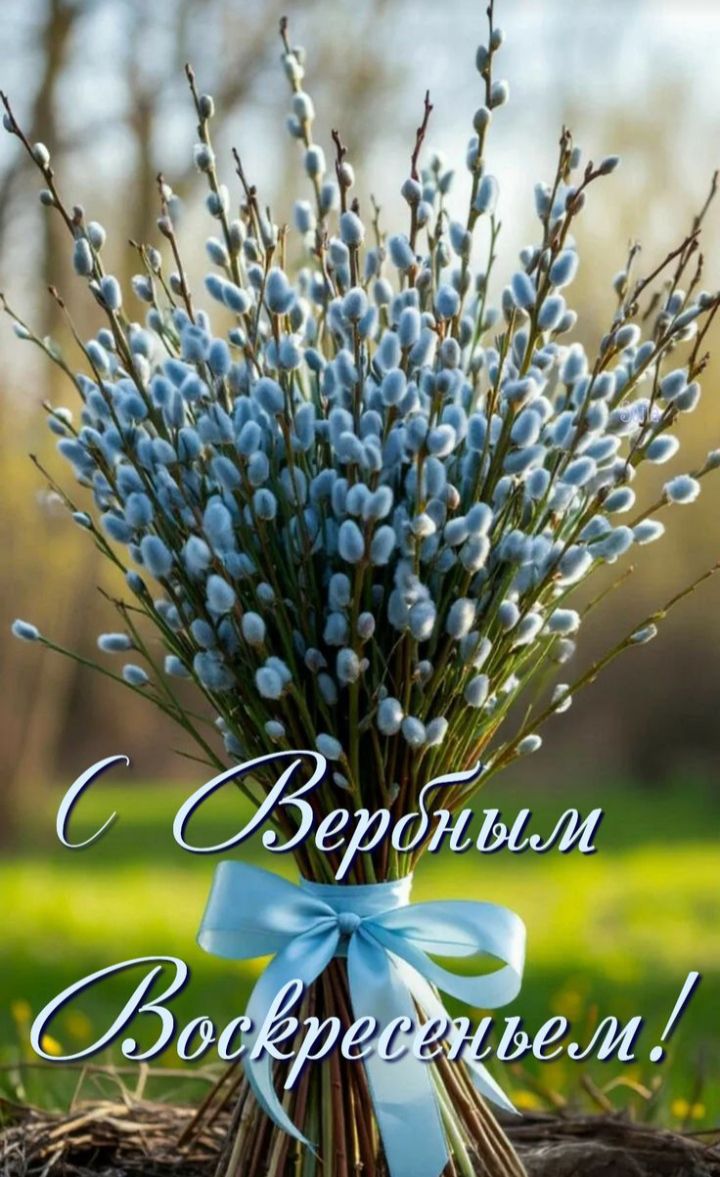 С Вербным Воскресеньем!