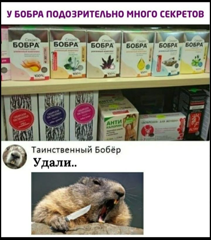 У БОБРА ПОДОЗРИТЕЛЬНО МНОГО СЕКРЕТОВ Таинственный Бобёр Удали..