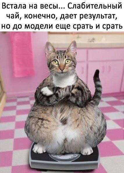 Встала на весы Слабительный чай конечно дает результат но до модели еще срать и срать _