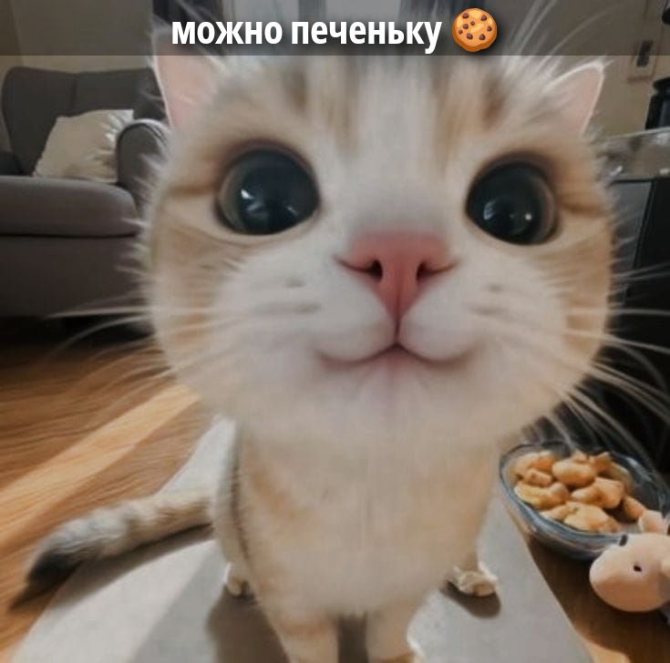 можно печеньку 🍪