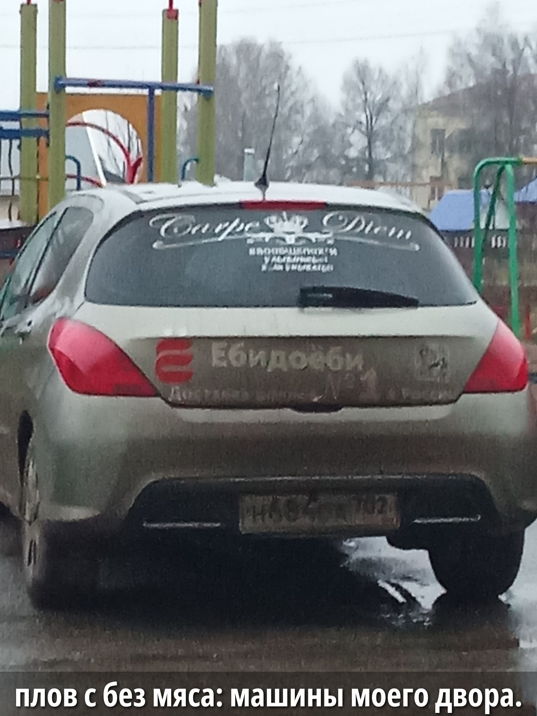 Ебидобы. Плов с без мяса: машины моего двора.