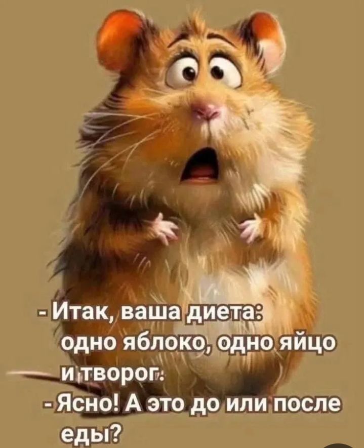 Итак, ваша диета: одно яблоко, одно яйцо и творог.
- Ясно! А это до или после еды?