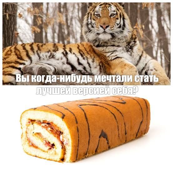 Вы когда-нибудь мечтали стать лучшей версией себя?