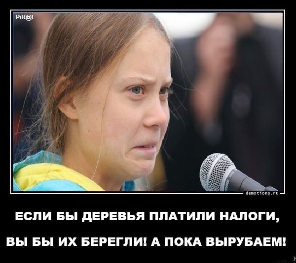 ЕСЛИ БЫ ДЕРЕВЬЯ ПЛАТИЛИ НАЛОГИ, ВЫ БЫ ИХ БЕРЕГЛИ! А ПОКА ВЫРУБАЕМ!