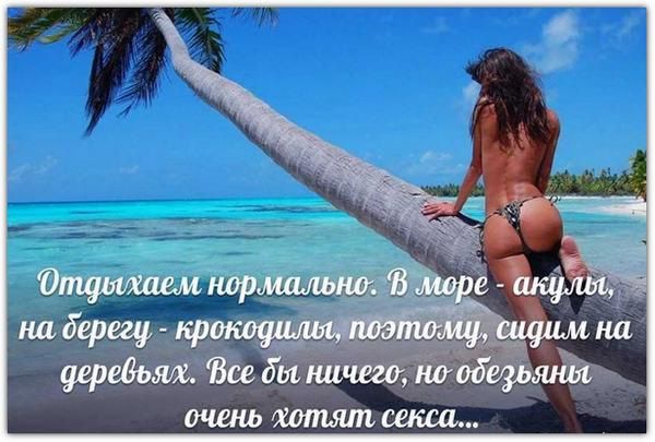 Отдыхаем нормально. В море - акулы, на берегу - крокодилы, поэтому, сидим на деревьях. Все бы ничего, но обезьяны очень хотят секса...
