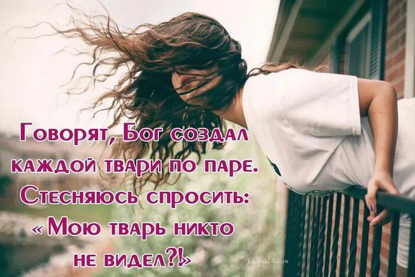 Говорят, Бог создал каждой твари по паре. Стесняюсь спросить: «Моою тварь никто не видел?!»