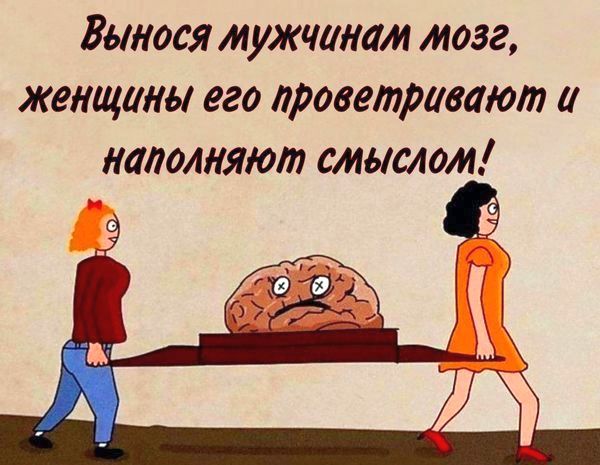 Вынося мужчинам мозг, женщины его проветривают и наполняют смыслом!