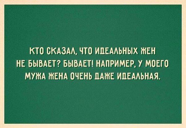 Кто сказал, что идеальных жен не бывает? Бывает! Например, у моего мужа жена очень даже идеальная.