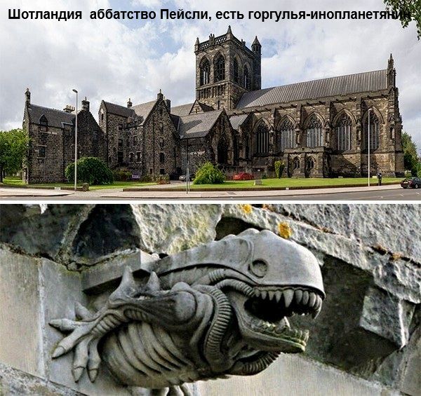 Шотландия аббатство Пейсли, есть горгулья-инопланляция