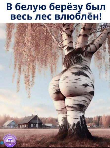 В белую берёзу был весь лес влюблён!