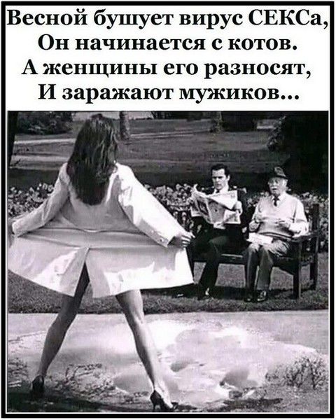 Весной бушует вирус СЕКСа, Он начинается с котов. А женщины его разносят, И заражают мужиков...