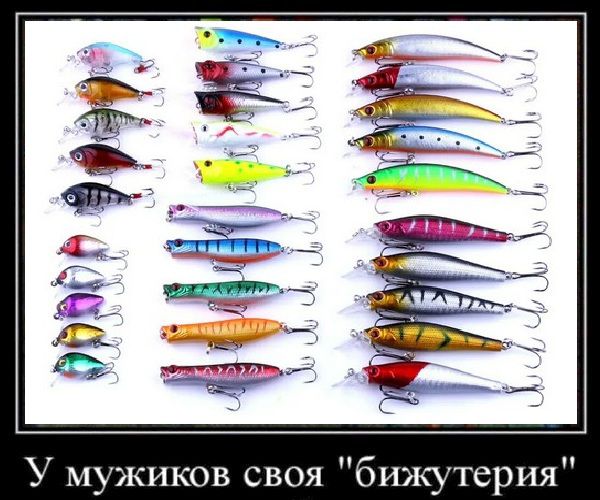 У мужиков своя 