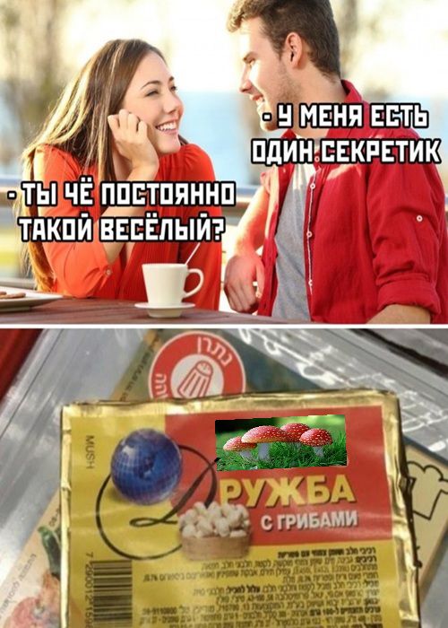 Ты чё постоянно такой весёлый? У меня есть один секретик. Дружба с грибами.