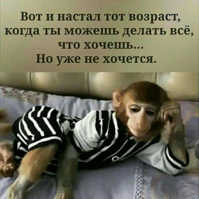 Вот и настал тот возраст когда ты можешь делать всё что хочешь Но уже не хочется