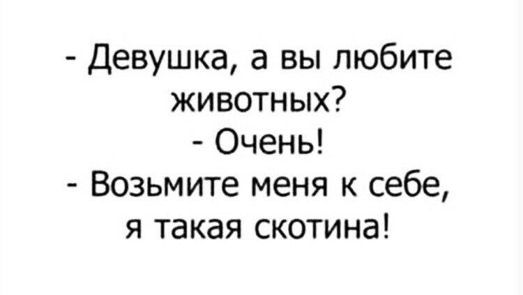 Девушка а вы любите животных Очень Возьмите меня к себе я такая скотина