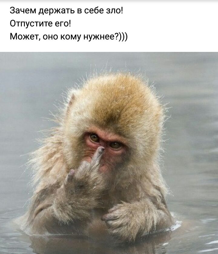 Зачем держать в себе зло Отпустите его Может оно кому нужнее