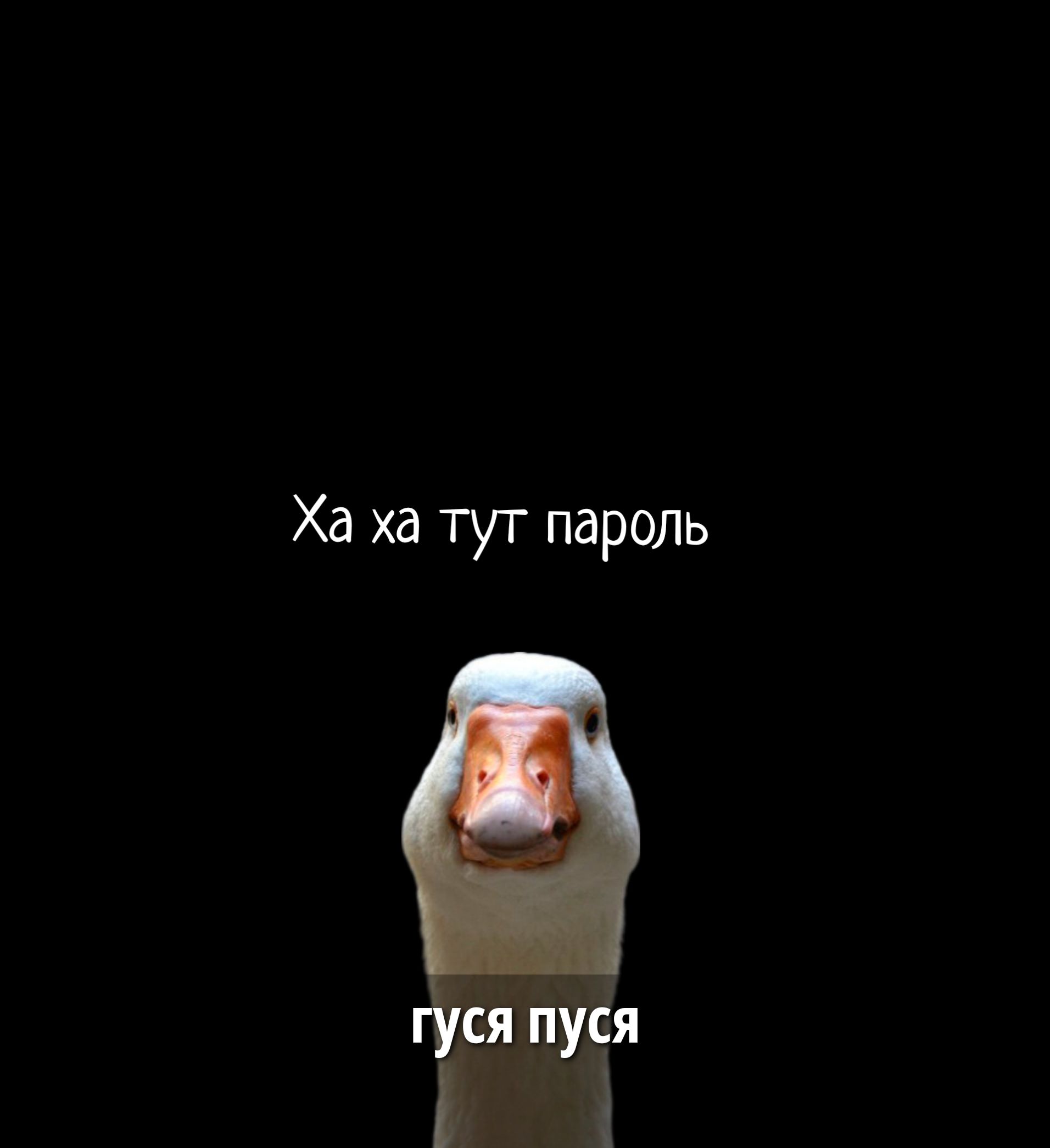 Ха ха тут пароль
гуся пуся