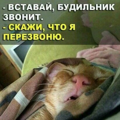 ВСТАВАЙ БУдипьник звонит скАжи что я пврезвоню