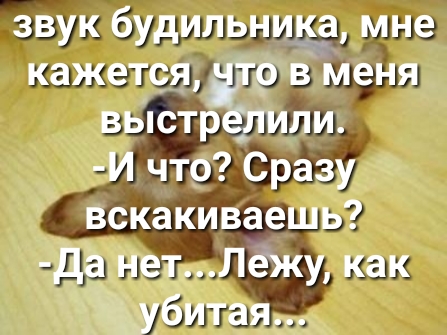 Мы слышим звук будильника находящегося в другой комнате что объясняет