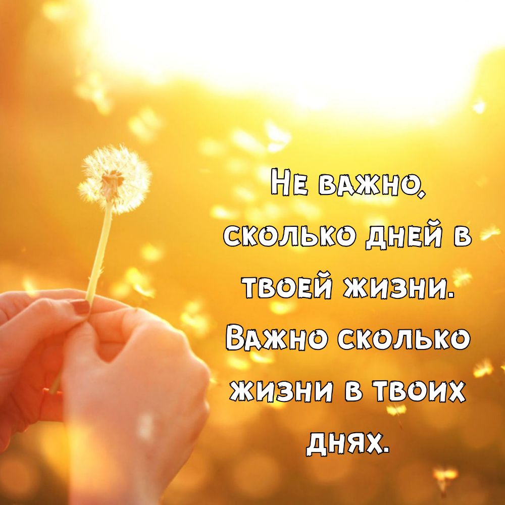 о д вшэ сколько днцй в и тврцй жизни Вино сколько _ жизни в_ при