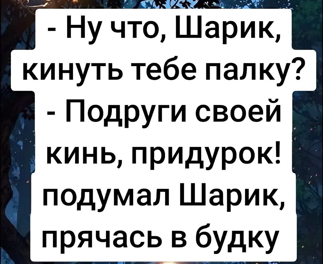 - Ну что, Шарик, кинуть тебе палку? - Подруги своей кинь, придурок! подумал Шарик, прячась в будку